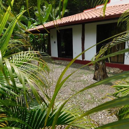 Villas Jungle 5 Sámara Kültér fotó
