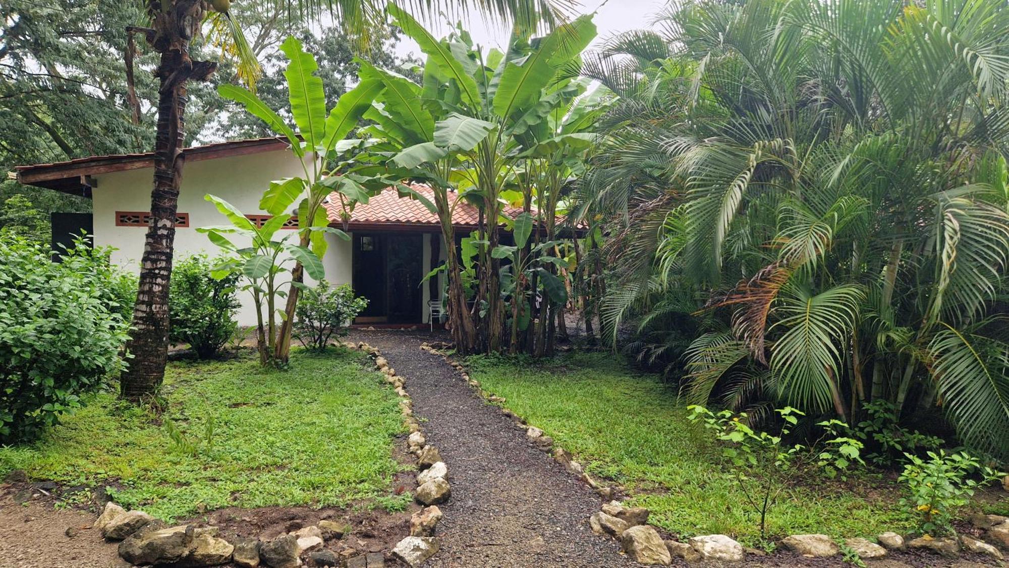Villas Jungle 5 Sámara Kültér fotó