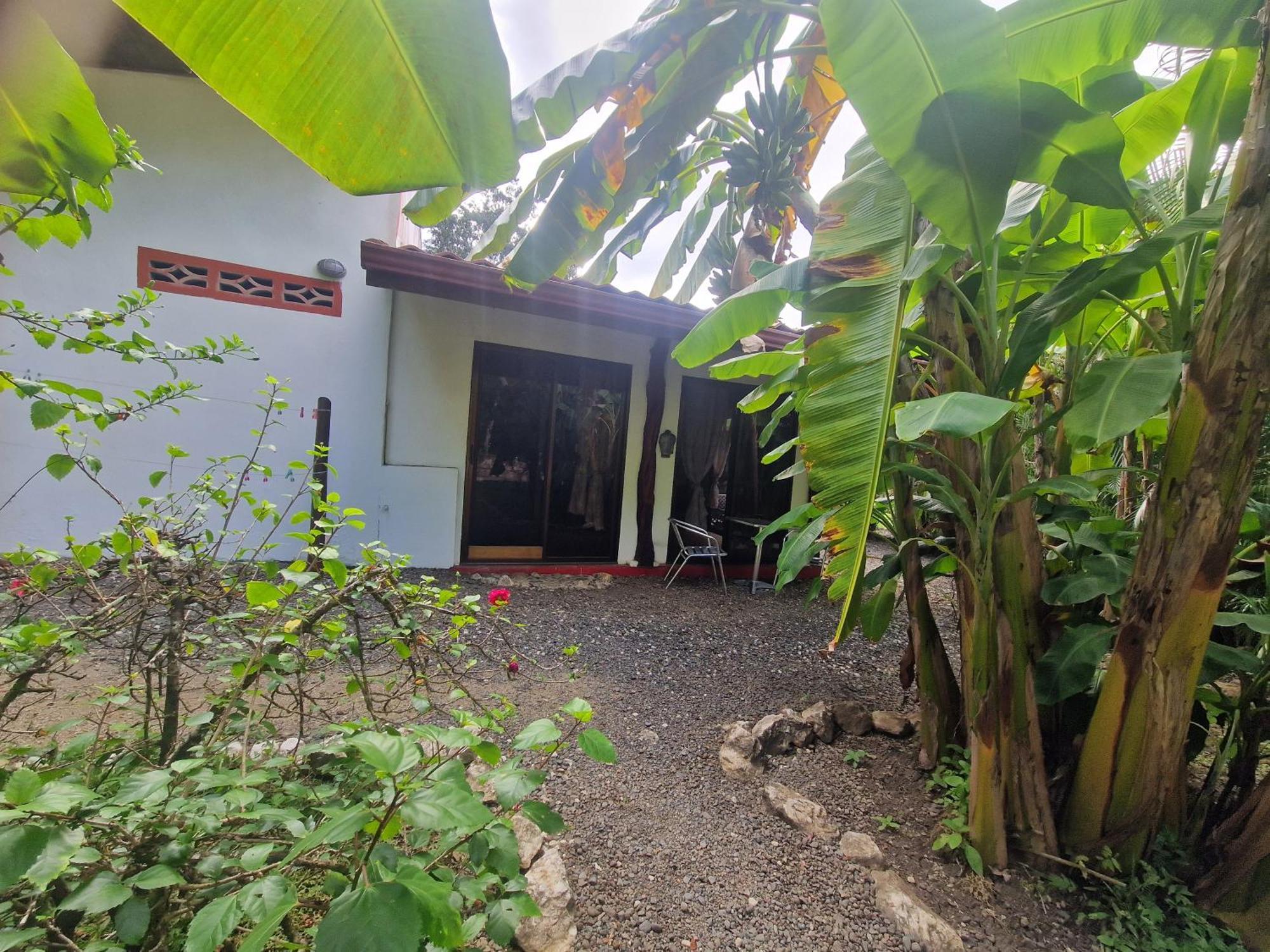 Villas Jungle 5 Sámara Kültér fotó